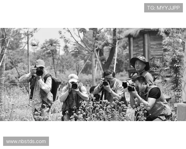 南京飞盘队的阵地战革新探索与实践全景解析