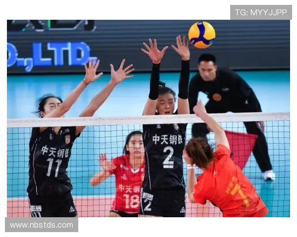 对话陈芳：回顾她的排球生涯与心路历程的精彩瞬间