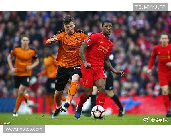 加的夫城与狼队激战成和比分揭晓精彩瞬间回顾